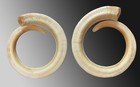 Beautiful Pair Of Boar Tusk Bracelet Exchange Currency Vanuatu