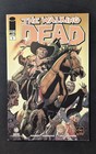 Walking Dead  1  2013           Chicago Comic Con Exclusive Variant Nm   Idw