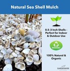Natural Sea Shell Mulch Decorative Coastal Ground Cover Garden Pathways Patios