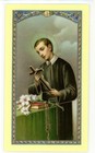 Saint Gerard Majella -prayer For Safe Delivery - Laminated  4 25 X 2 5 Holy Card