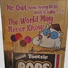Vintage Tootsie Mr  Owl Metal Advertising Sign  Collectible Yellow Multicolor