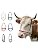 Cattle Halter Calf Halter Cow Halters With Heavy-duty Brass Buckle  Easy-clean S
