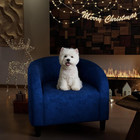 Versatile Barrel Accent Chair  Navy   Cushioned For Living Room Office   Bedroom