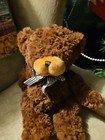 Retired  first Main  Soft Plush  13   Brown Bear Named Tyler
