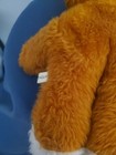 Vintage 11  Rare Teddy Bear Made In England