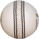 Sg Cricket Shield 20 Premium Leather Ball  white Color 