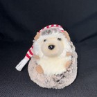Douglas Spunky Hedgehog Cap 5  Plush Stuffed Animal Cuddle Toy  4101c