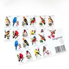 Usps Songbirds First Class Letter Stamps 5 Sheets 100 Total Stamps