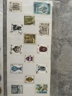 Welcome To Egypt Coin Collection  And Stamps Set