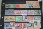 British Commonwealth Collection Of 550  Stamps Mint   Used On Stock Pages