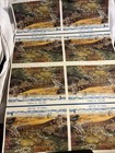 Beautiful 2002 Nature Of America    arctic Tundra    37   Stamps Sheet Of 10 mnh