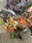 Lot Of Plastic Animals Mixed Brands   Sizes  Dinosaur  Ocean  Safari  Farm