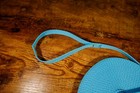 Super Long Dog Pet Leash Blue W  Wrist Strap And Collar Loop 40ft Strong Webbing