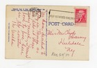 Vintage Postcard The Old Oak Tampa Fl University Grounds Linen Color Posted 1957