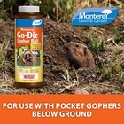 Monterey Go-die Gopher Animal Bait Pesticide  1 Pound