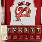 Chicago Bulls Michael Jordan Signed Jersey Framed Hand Painted Upper Deck Uda