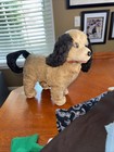 Vintage 1950   s Chap The Obedient Dog Rosko Toy Battery Operated