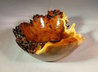 Turned Russian Olive Burl Wood Bowl  Natural Edge  Handmade  Artist Signed  Nice