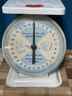 Vintage American Family Nursery Scale Baby Scale 30lb White Elephant Bear