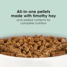 Kaytee Timothy Complete Guinea Pig Food - High Fiber  5 Lb Bag