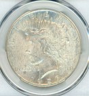 1926 Peace Dollar  1 Ms 64 Pcgs