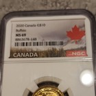 2020 Canada G 10 1 4oz Gold Buffalo Coin Ngc Ms69