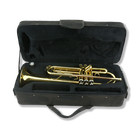 Student Trumpet For Beginners Bb Brass Trumpet Instruments With Case  Mouthpiece