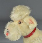 Steiff Vintage Jointed Snobby Poodle Dog 9  Tall- Germany C1950 s - Tag   Button