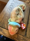 Ty Beanie Baby Cute Rainbow The Lizard With Tag Plush Toy   Free Shipping