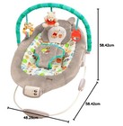Disney Baby Winnie The Pooh Bouncer