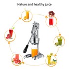 Stainlesssteel Citrus Fruits Squeezer Orange Lemon Juicer Fruit Pressing Machine