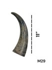 One Medium Unpolished Cow Horn   Real Horn   One Of A Kind   Natural Color    29
