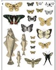 Iron Orchid Designs Iod    entomology Botanical    Retired Decor Transfer New Fs