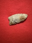 2 Inch Paleo Clovis Gursney Co Ohio Arrowhead 