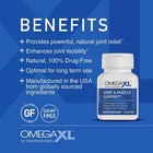 Omegaxl Joint Support Supplement Natural Muscle Support Green Lipped Mussel 300