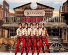 Elvis Presley Framed Limited Edition 16x20 Print 