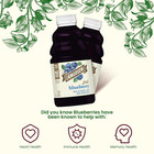 Just Blueberry Juice  32 Fl Oz  pack Of 1 