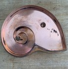 Copper Cookie Cutters  Nautilus Shell   Seahorse  Martha By Mail  Michael Bonne