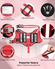 Service Dog Vest Harness And Leash Set 10 Patches For Puppy Small Dogs do Not   