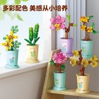 Kids  Educational Building Block Flower Pot Toy - Everlasting Puzzle Model Gift