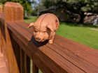 Large Cast Iron Fincks Overalls Advertising Pig Hog Bank Wear Like A Pigs Nose 
