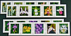 Usps Forever Stamps - Wild Orchids  20 Stamps  Cut From A Large Roll usps  