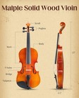Acoustic Violin 4 4 Full Size With Case And Bow Rosin With Case For Xmad Gift