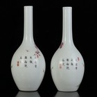 A Pair Chinese Pastel Porcelain Handpainted Exquisite Flowers plants Vase