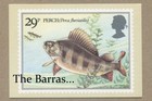 Uk Royal Post  1983 British River Fish  4 Cards Set  phq 65  a-d  Postcards