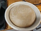 236 Yr Old Heirloom San Francisco Sour Starter Tangy  Strong  Sourdough Organic