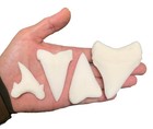 Fossil Shark Teeth Replicas - Megalodon  Great White  Hastalis And Obliquus