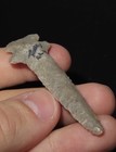 Dovetail Drill Arrowhead Missouri Ancient Authentic Native American Artifact 