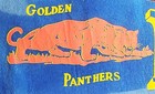 Vintage 1940s University Of Pittsburgh Panthers Football Pennant  Wow 