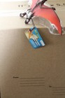 Schleich Pteranodon Plastic Dinosaur Figurine Orange Yellow Collectible Toy